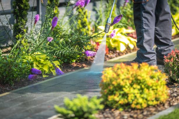 Best Boat and Dock Cleaning  in Dalton, PA